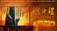 星空影视大全电视剧免费播放在线